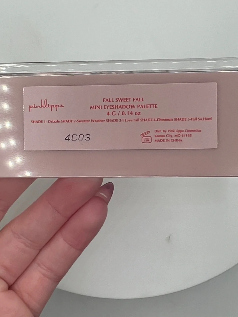 PinkLipps Fall Sweet Fall Mini Eyeshadow Palette